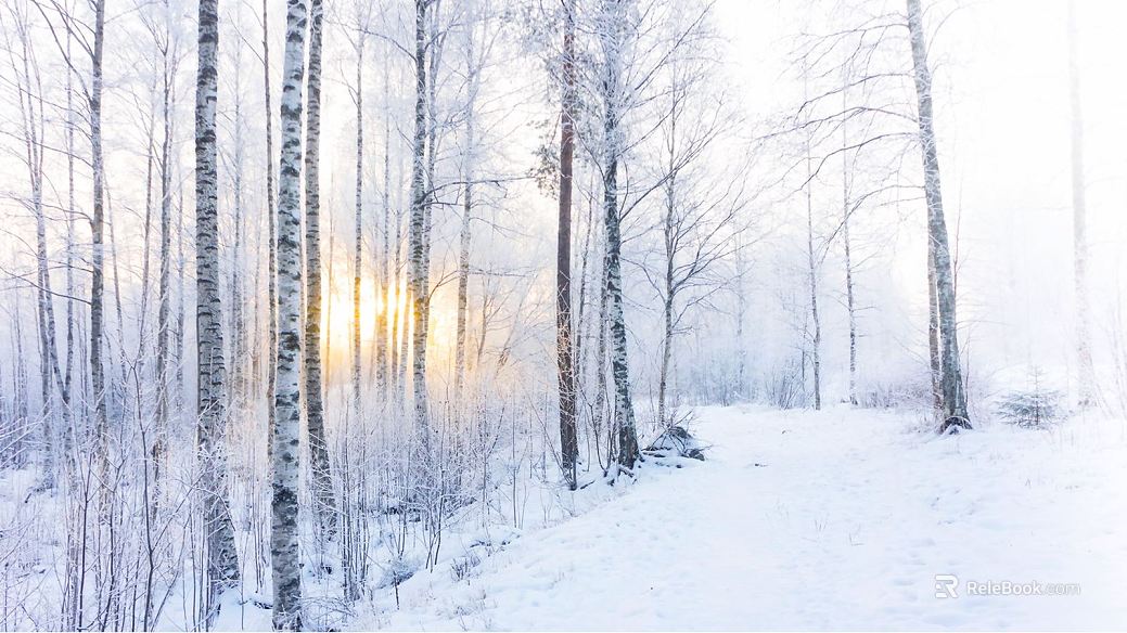 Snow texture
