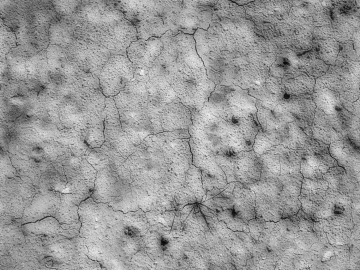 Black and White Bump texture (ID:ffach459446)