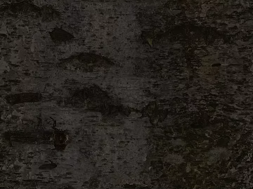 Dark gray birch bark decorative surface material texture (ID:ffaeh374276)