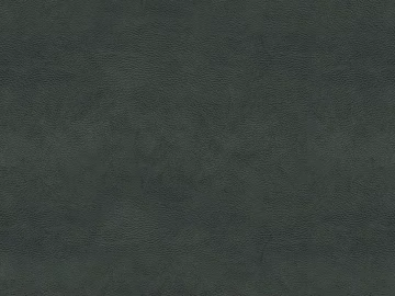 fine grain leather texture (ID:ffabg00136)