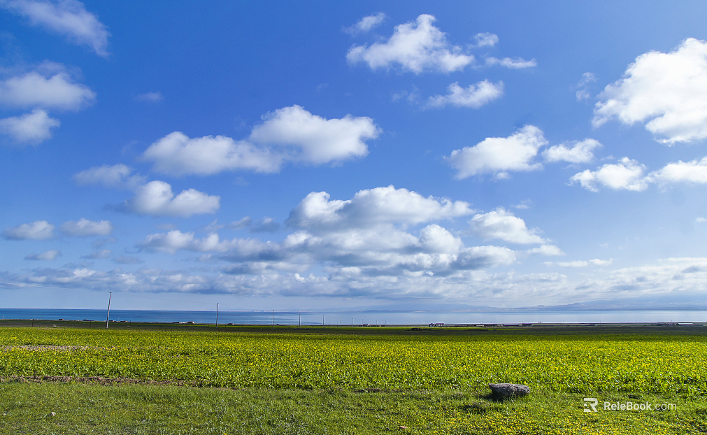 Wild Scenery texture