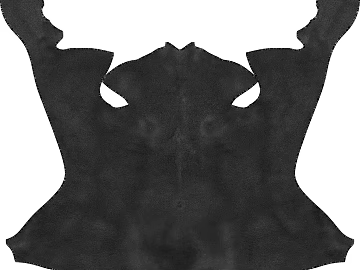 Black and White Bump 3d model