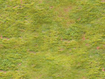 moss texture (ID:ffacg69691)