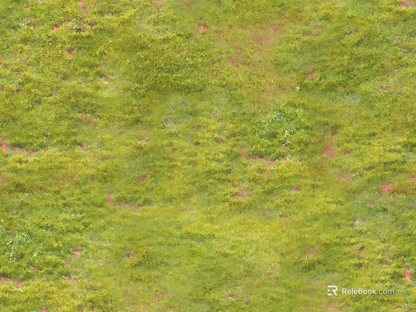 moss texture