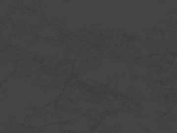Black and white stone map texture (ID:ffaef9196)
