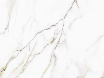 Top Snow White Marble Snow White Rock Slab texture (ID:ffagg18287)