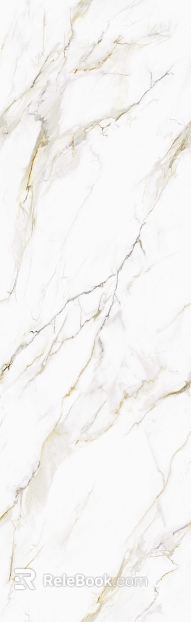 Top Snow White Marble Snow White Rock Slab texture