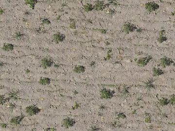 Mud ground 3d model