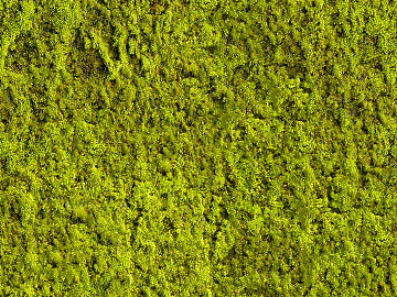 moss texture (ID:ffaag00849)