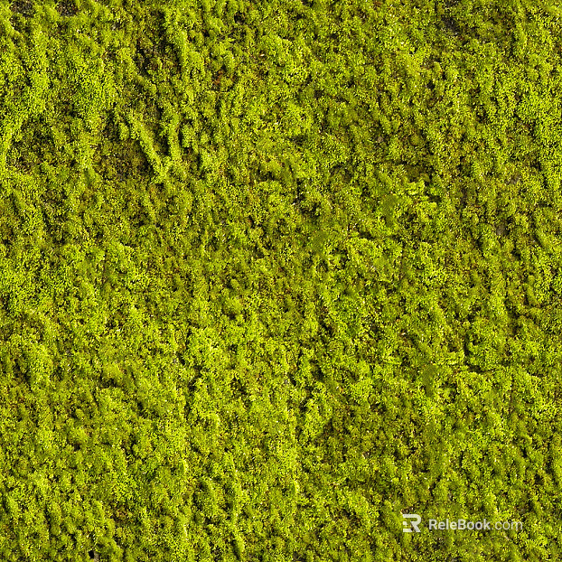 moss texture