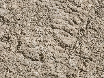 Culture Stone 3d model