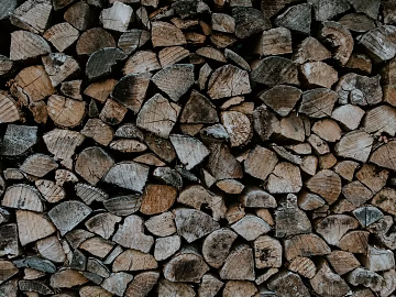 Trunk section texture (ID:ffaeg10787)