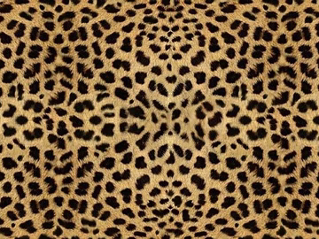 Animal Blanket texture (ID:ffajg69257)
