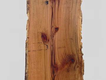 Trunk texture (ID:ffaag25731)