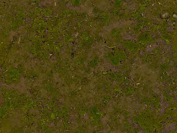 Turf texture (ID:ffajg87323)