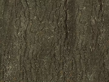 Dark brown bark texture background decoration (ID:ffaeh955332)