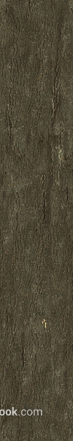 Dark brown bark texture background decoration texture