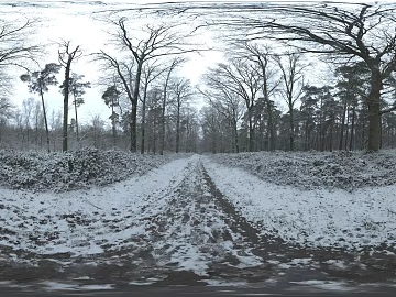 Outdoor snow texture (ID:ffach816758)