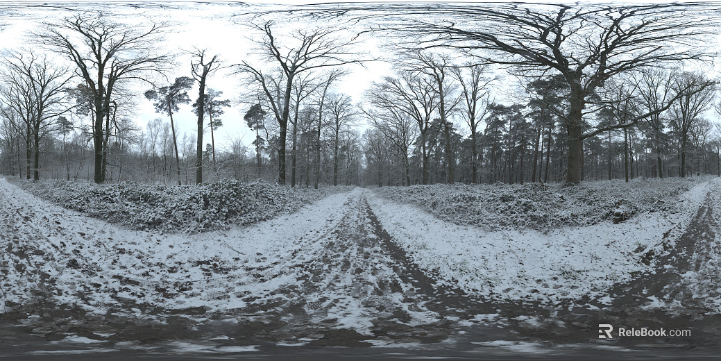 Outdoor snow texture