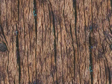bark texture (ID:ffabg88584)
