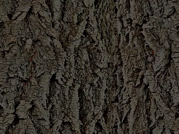 bark texture (ID:ffach470736)