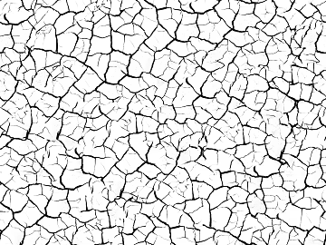 Black and White Bump 3d model