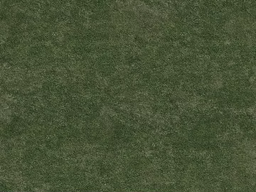 Turf texture (ID:ffabg44533)