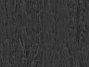 Black and White Bump texture (ID:ffajg69026)