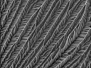 Black and White Bump texture (ID:ffach295750)