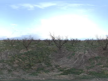 Outdoor Wasteland Daytime HDR texture (ID:ffabg48391)