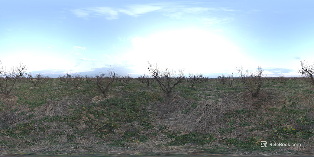 Outdoor Wasteland Daytime HDR texture