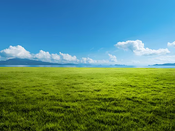 Wild Scenery texture (ID:ffach304710)