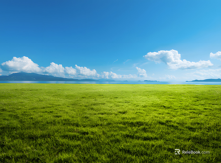 Wild Scenery texture