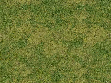 Turf texture (ID:ffacg34592)