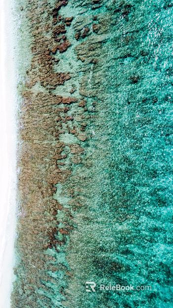 Beach texture