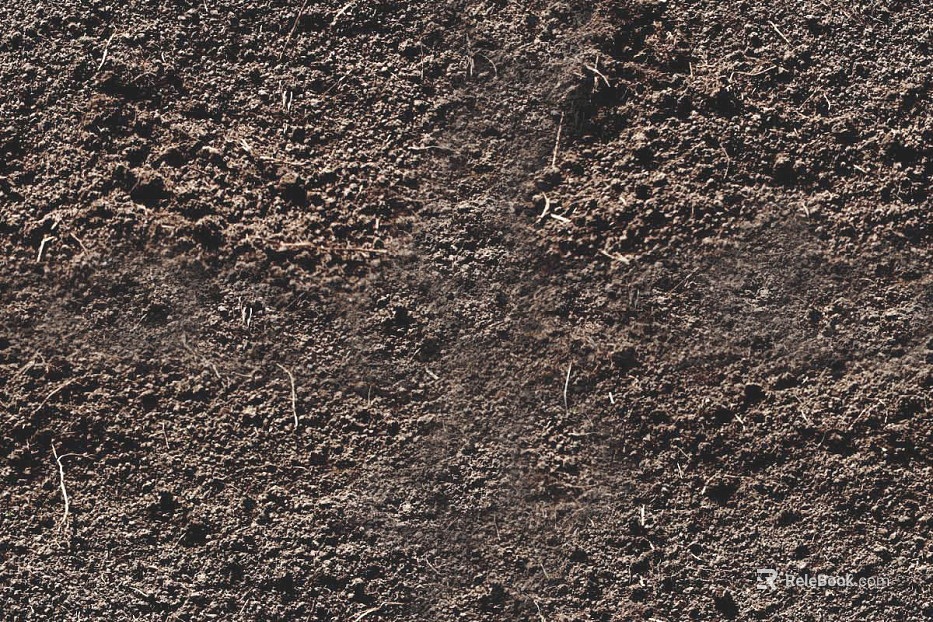 Sand texture