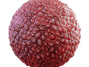 Animal Fur PBR texture (ID:ffach526994)