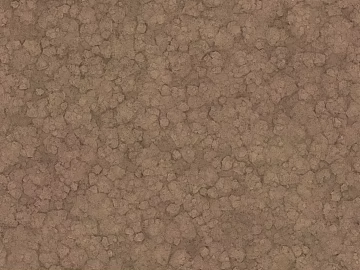 Mud texture (ID:ffagg19459)