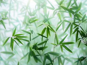 New Chinese bamboo background wall texture (ID:ffach271724)