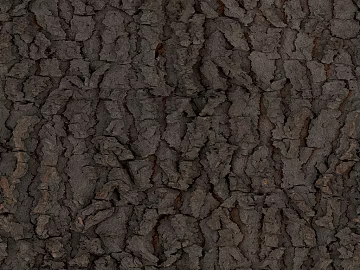 bark texture (ID:ffabg25439)