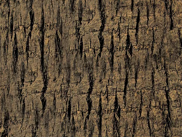 Dark brown bark texture natural decorative surface (ID:ffaeh445736)