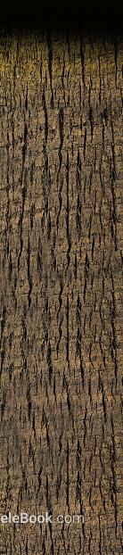 Dark brown bark texture natural decorative surface texture