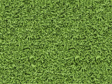 ground grass lawn turf plants sand texture (ID:ffach370774)