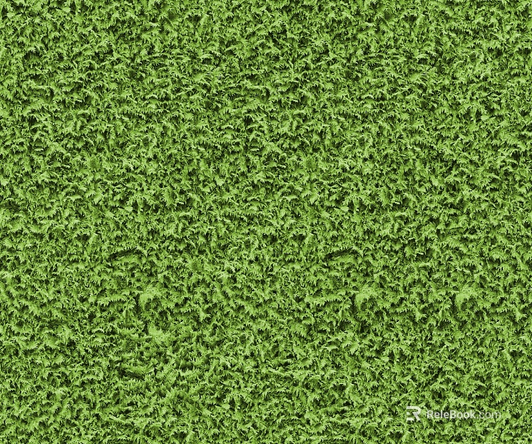 ground grass lawn turf plants sand texture