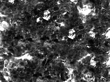 Highlight Mask texture (ID:ffacg19924)