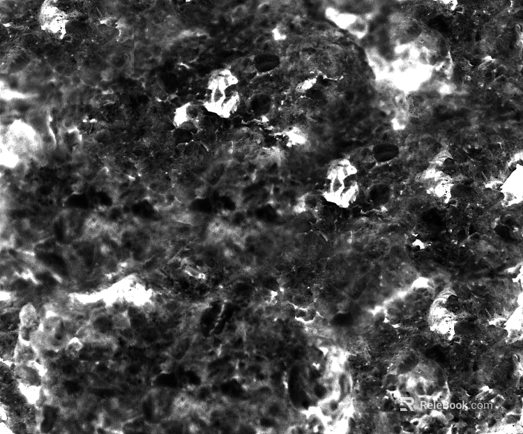 Highlight Mask texture