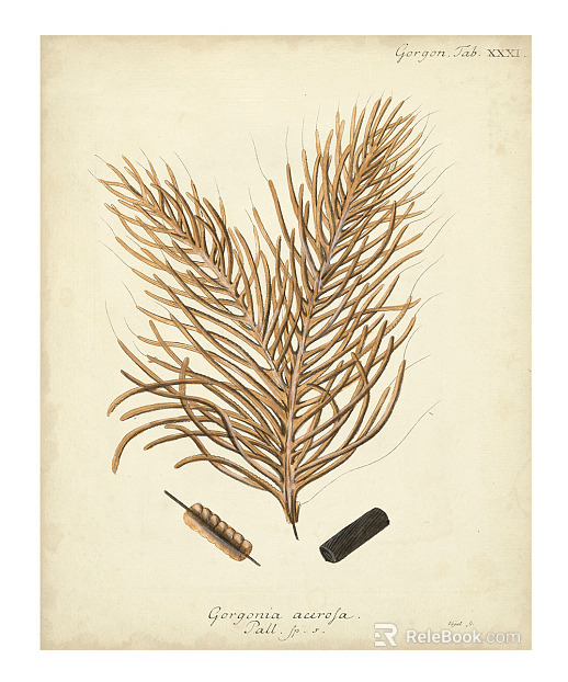 decorative painting texture