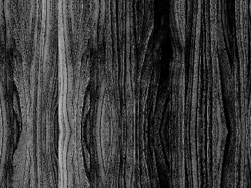 Black and white wood grain texture (ID:ffabg03371)