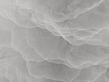 black and white painting texture (ID:ffaeg73163)