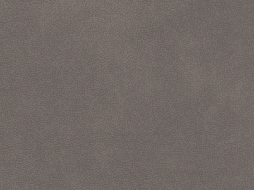 fine grain leather texture (ID:ffabg57899)